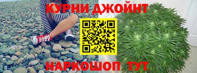 индика Пыть-Ях