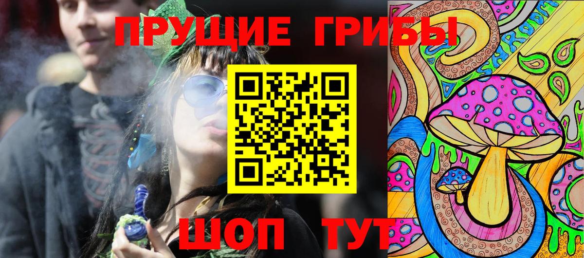 Галлюциногенные грибы Psilocybe Псков